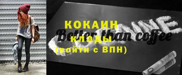 индика Семилуки