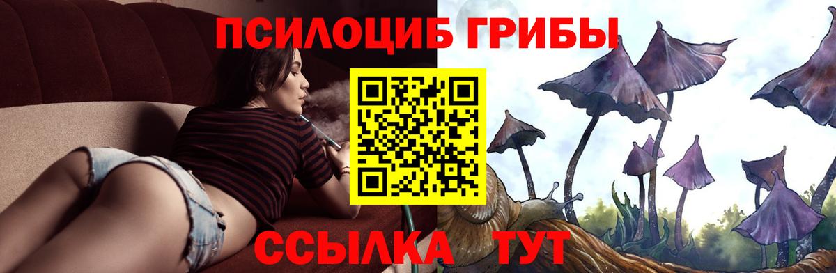 Псилоцибиновые грибы Psilocybe  Вход с VPN  где купить   Корсаков 
